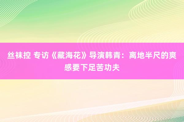 丝袜控 专访《藏海花》导演韩青：离地半尺的爽感要下足苦功夫