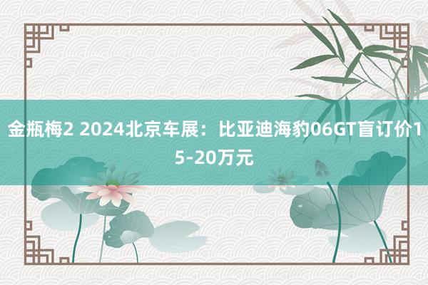 金瓶梅2 2024北京车展：比亚迪海豹06GT盲订价15-20万元