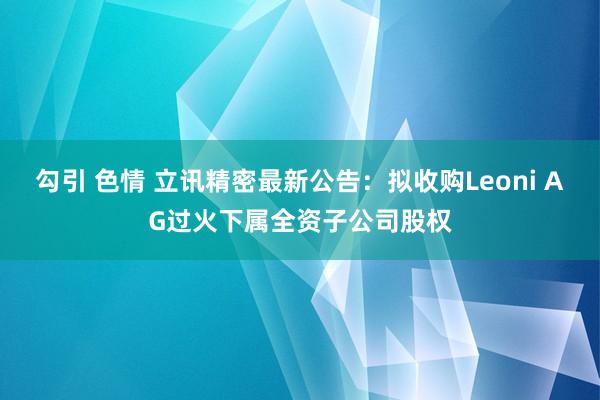 勾引 色情 立讯精密最新公告：拟收购Leoni AG过火下属全资子公司股权