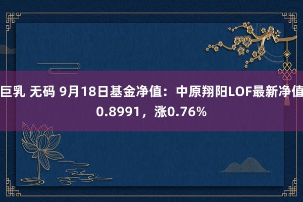 巨乳 无码 9月18日基金净值：中原翔阳LOF最新净值0.8991，涨0.76%