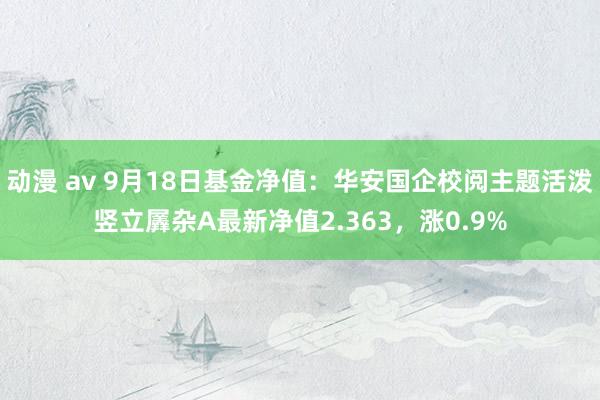 动漫 av 9月18日基金净值：华安国企校阅主题活泼竖立羼杂A最新净值2.363，涨0.9%