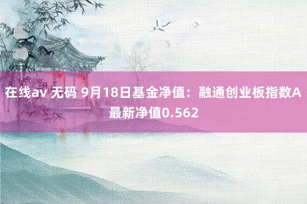 在线av 无码 9月18日基金净值：融通创业板指数A最新净值0.562