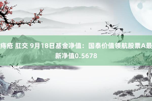 痔疮 肛交 9月18日基金净值：国泰价值领航股票A最新净值0.5678