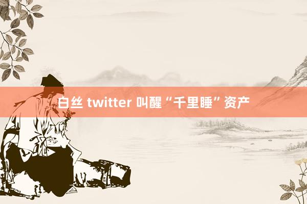 白丝 twitter 叫醒“千里睡”资产