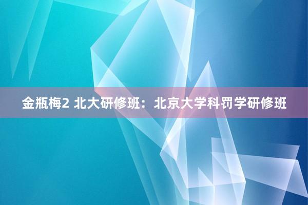 金瓶梅2 北大研修班：北京大学科罚学研修班