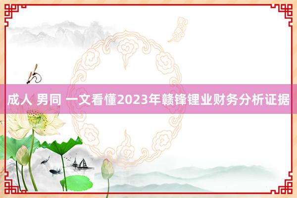 成人 男同 一文看懂2023年赣锋锂业财务分析证据