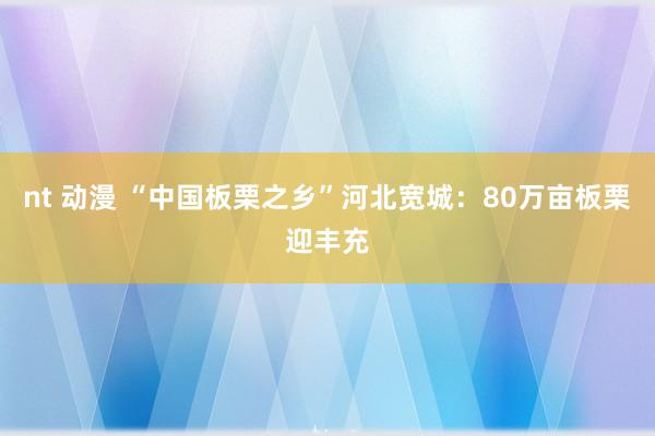 nt 动漫 “中国板栗之乡”河北宽城：80万亩板栗迎丰充