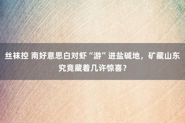 丝袜控 南好意思白对虾“游”进盐碱地，矿藏山东究竟藏着几许惊喜？