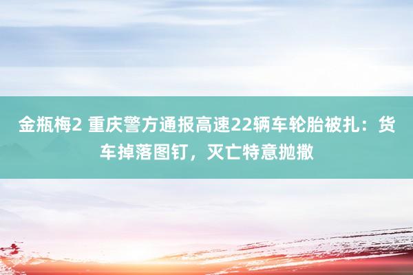 金瓶梅2 重庆警方通报高速22辆车轮胎被扎：货车掉落图钉，灭亡特意抛撒