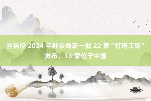 丝袜控 2024 年群众最新一批 22 家“灯塔工场”发布，13 家位于中国