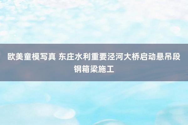 欧美童模写真 东庄水利重要泾河大桥启动悬吊段钢箱梁施工