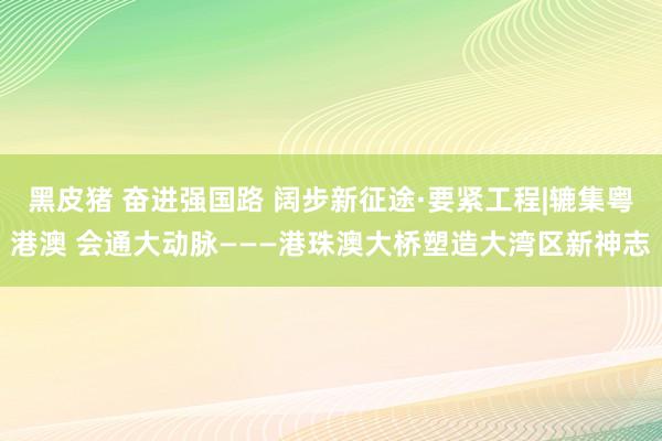 黑皮猪 奋进强国路 阔步新征途·要紧工程|辘集粤港澳 会通大动脉———港珠澳大桥塑造大湾区新神志