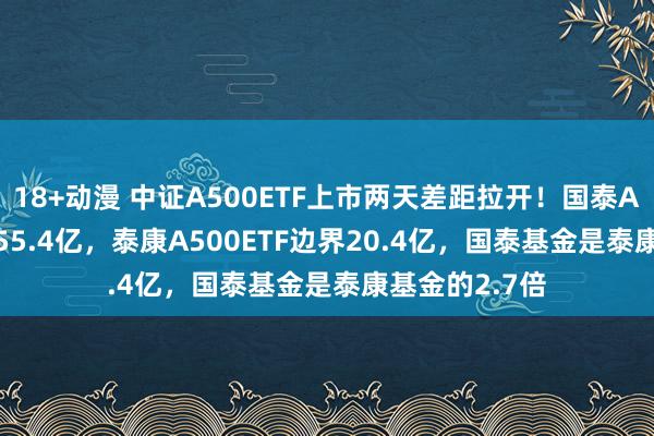 18+动漫 中证A500ETF上市两天差距拉开！国泰A500ETF边界55.4亿，泰康A500ETF边界20.4亿，国泰基金是泰康基金的2.7倍