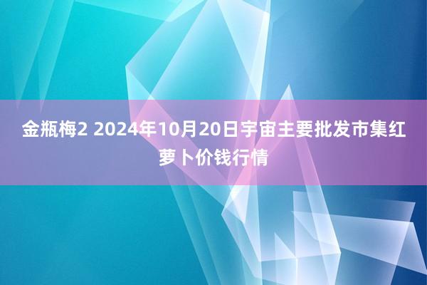 金瓶梅2 2024年10月20日宇宙主要批发市集红萝卜价钱行情