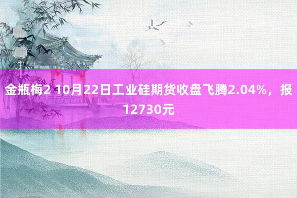 金瓶梅2 10月22日工业硅期货收盘飞腾2.04%，报12730元