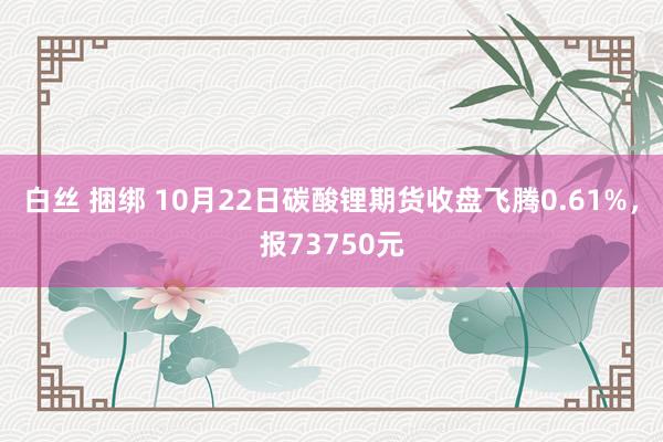 白丝 捆绑 10月22日碳酸锂期货收盘飞腾0.61%，报73750元