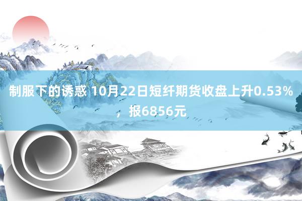 制服下的诱惑 10月22日短纤期货收盘上升0.53%，报6856元