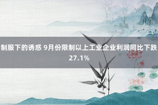 制服下的诱惑 9月份限制以上工业企业利润同比下跌27.1%