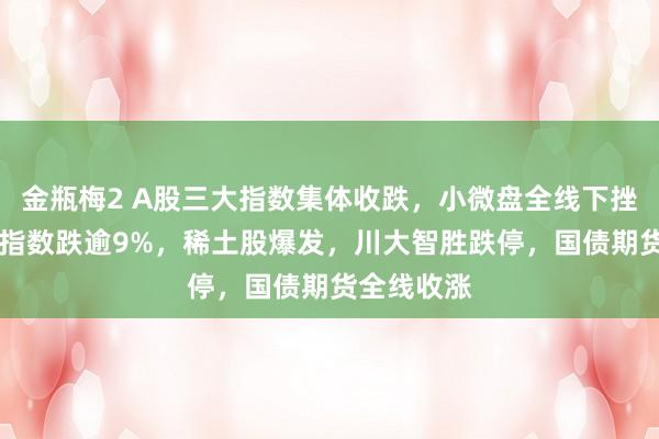 金瓶梅2 A股三大指数集体收跌，小微盘全线下挫，北证50指数跌逾9%，稀土股爆发，川大智胜跌停，国债期货全线收涨