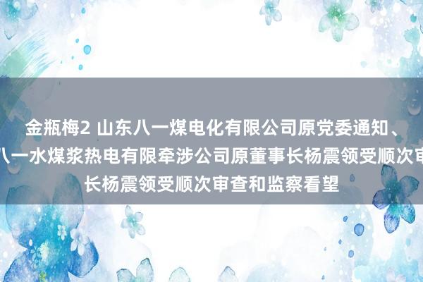 金瓶梅2 山东八一煤电化有限公司原党委通知、董事长，枣庄八一水煤浆热电有限牵涉公司原董事长杨震领受顺次审查和监察看望