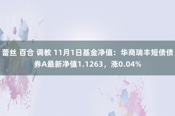 蕾丝 百合 调教 11月1日基金净值：华商瑞丰短债债券A最新净值1.1263，涨0.04%