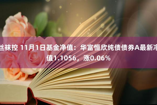 丝袜控 11月1日基金净值：华富恒欣纯债债券A最新净值1.1056，涨0.06%