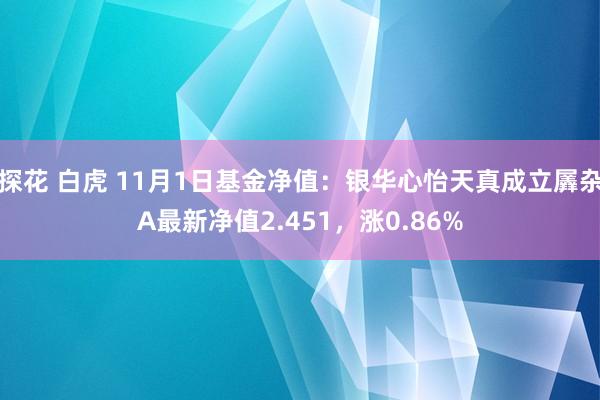 探花 白虎 11月1日基金净值：银华心怡天真成立羼杂A最新净值2.451，涨0.86%