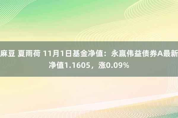 麻豆 夏雨荷 11月1日基金净值：永赢伟益债券A最新净值1.1605，涨0.09%