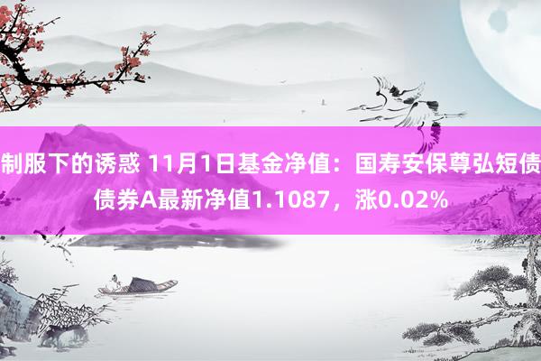 制服下的诱惑 11月1日基金净值：国寿安保尊弘短债债券A最新净值1.1087，涨0.02%