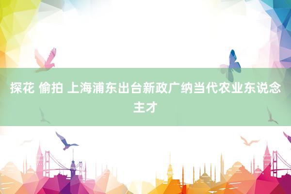 探花 偷拍 上海浦东出台新政广纳当代农业东说念主才