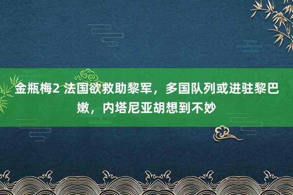 金瓶梅2 法国欲救助黎军，多国队列或进驻黎巴嫩，内塔尼亚胡想到不妙