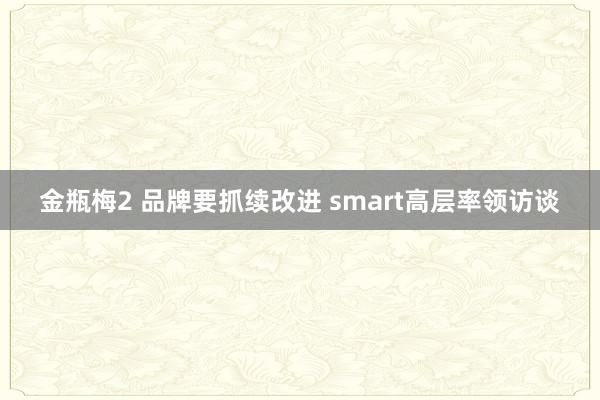 金瓶梅2 品牌要抓续改进 smart高层率领访谈