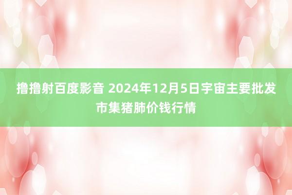 撸撸射百度影音 2024年12月5日宇宙主要批发市集猪肺价钱行情