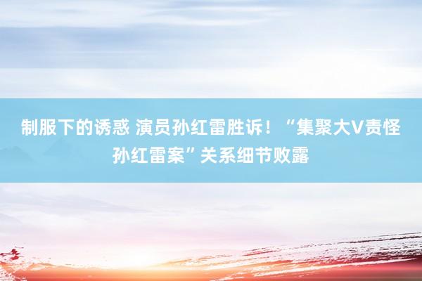 制服下的诱惑 演员孙红雷胜诉！“集聚大V责怪孙红雷案”关系细节败露