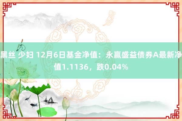 黑丝 少妇 12月6日基金净值：永赢盛益债券A最新净值1.1136，跌0.04%