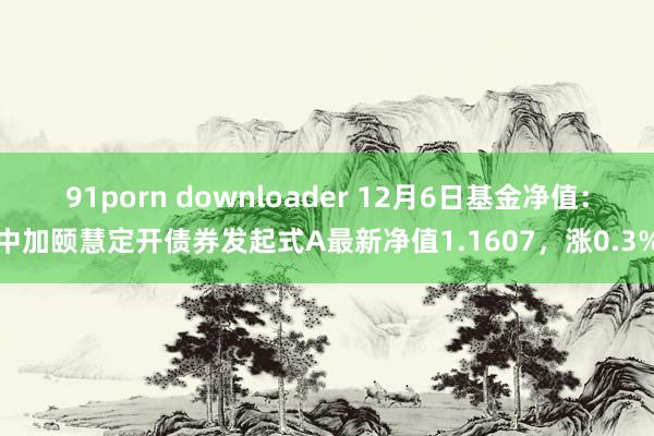 91porn downloader 12月6日基金净值：中加颐慧定开债券发起式A最新净值1.1607，涨0.3%