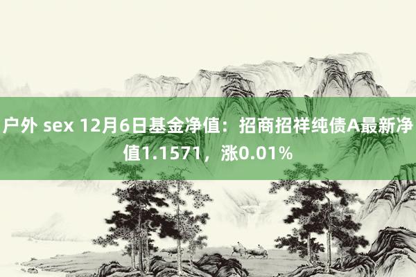 户外 sex 12月6日基金净值：招商招祥纯债A最新净值1.1571，涨0.01%