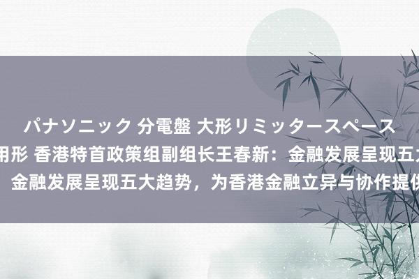 パナソニック 分電盤 大形リミッタースペースなし 露出・半埋込両用形 香港特首政策组副组长王春新：金融发展呈现五大趋势，为香港金融立异与协作提供伏击宗旨