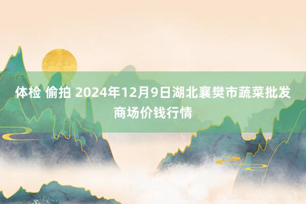 体检 偷拍 2024年12月9日湖北襄樊市蔬菜批发商场价钱行情