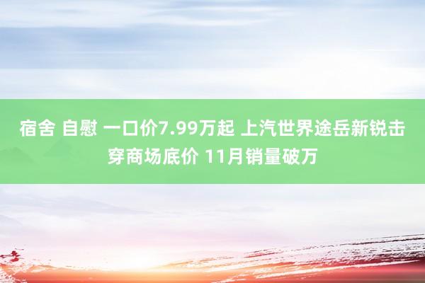 宿舍 自慰 一口价7.99万起 上汽世界途岳新锐击穿商场底价 11月销量破万