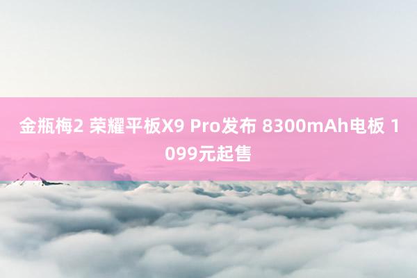 金瓶梅2 荣耀平板X9 Pro发布 8300mAh电板 1099元起售