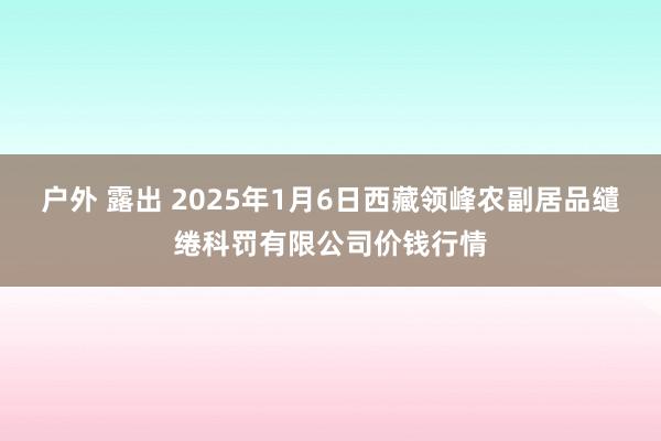 户外 露出 2025年1月6日西藏领峰农副居品缱绻科罚有限公司价钱行情