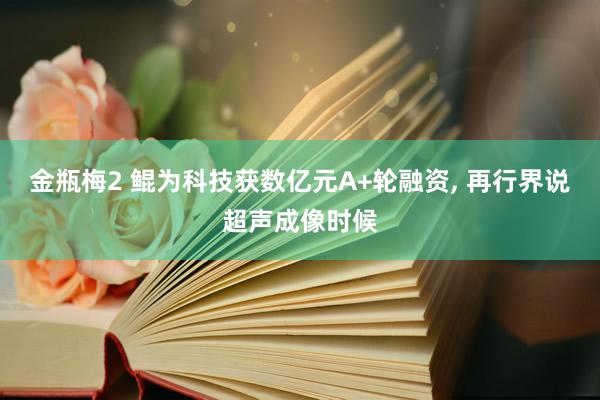 金瓶梅2 鲲为科技获数亿元A+轮融资， 再行界说超声成像时候