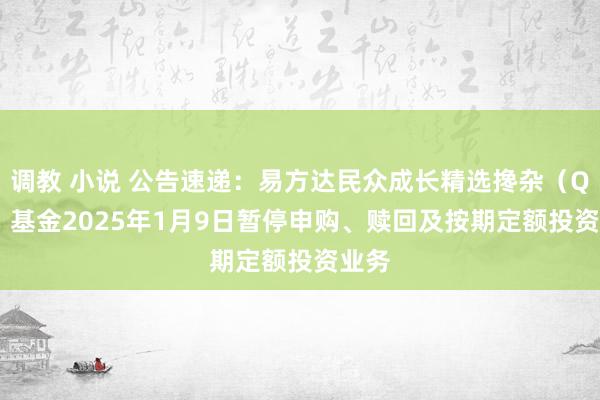 调教 小说 公告速递：易方达民众成长精选搀杂（QDII）基金2025年1月9日暂停申购、赎回及按期定额投资业务