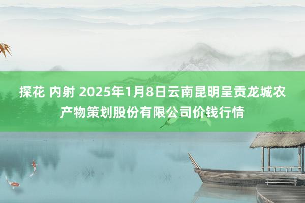 探花 内射 2025年1月8日云南昆明呈贡龙城农产物策划股份有限公司价钱行情