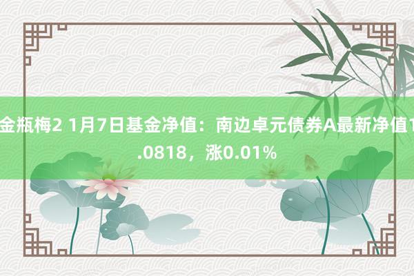 金瓶梅2 1月7日基金净值：南边卓元债券A最新净值1.0818，涨0.01%