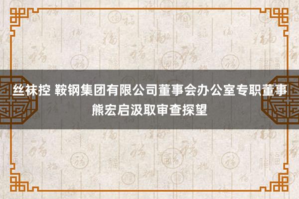 丝袜控 鞍钢集团有限公司董事会办公室专职董事熊宏启汲取审查探望