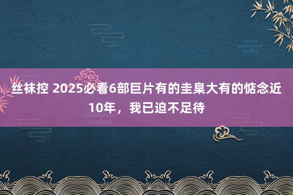 丝袜控 2025必看6部巨片有的圭臬大有的惦念近10年，我已迫不足待