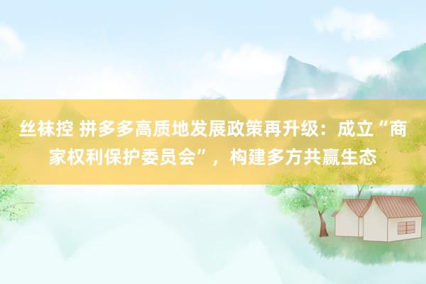 丝袜控 拼多多高质地发展政策再升级：成立“商家权利保护委员会”，构建多方共赢生态