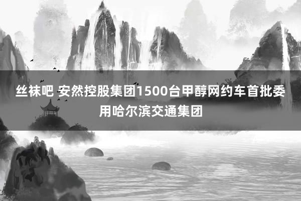 丝袜吧 安然控股集团1500台甲醇网约车首批委用哈尔滨交通集团